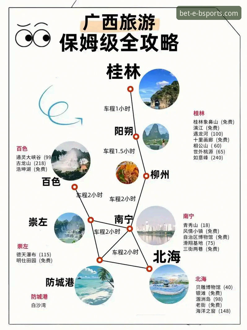 b体育平台深度解析：从官方下载到实战操作的全面指南